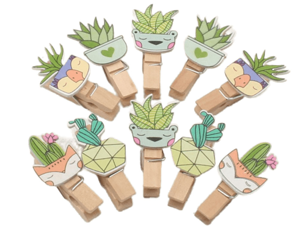 گیره چوبی کاکتوس (10 عددی)