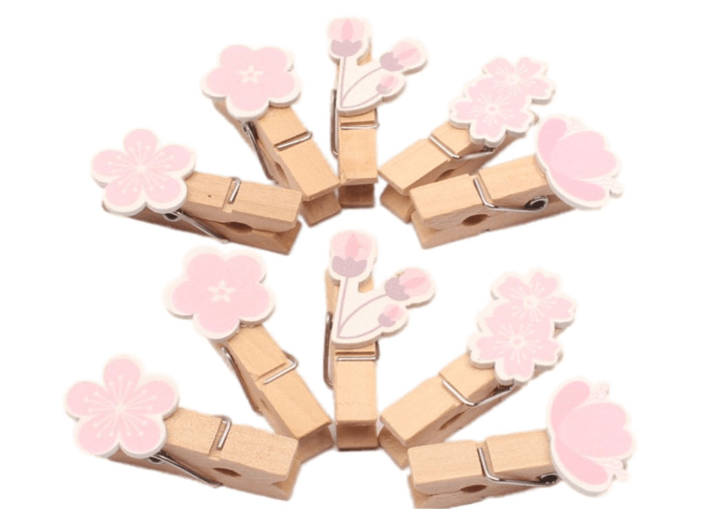 گیره چوبی گل 10 عددی