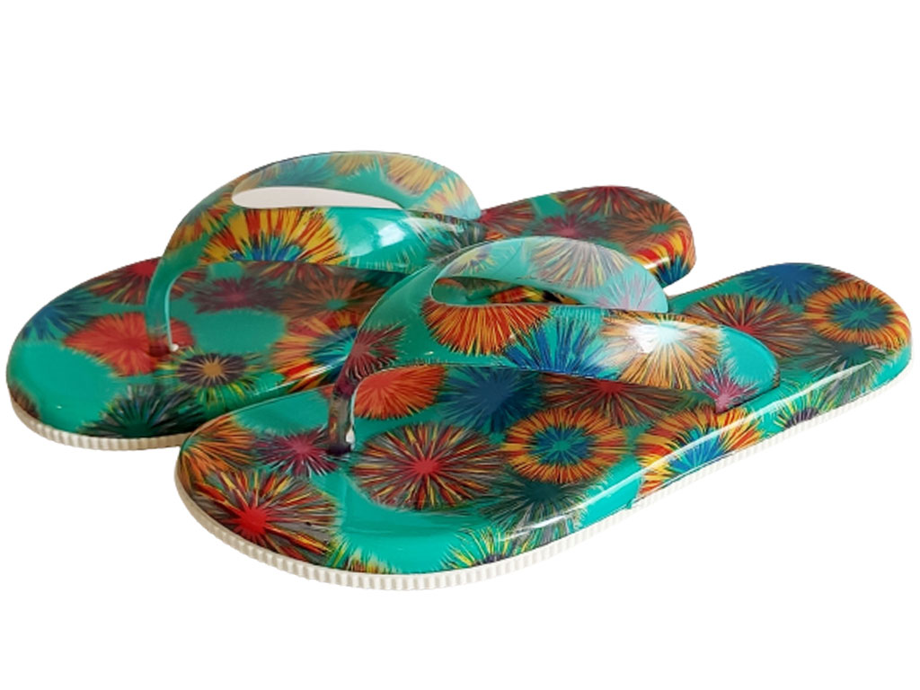 دمپایی لاانگشتی طرح دار (سبز- آبی)