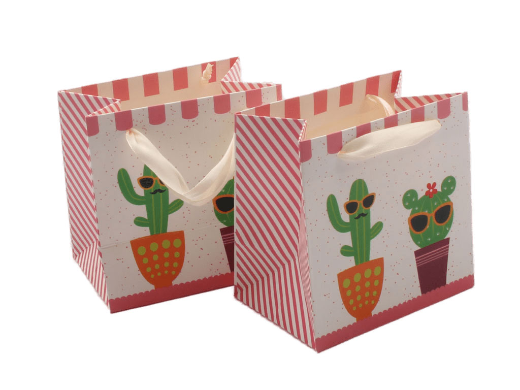 پاکت هدیه کاکتوس (سایز کوچک)