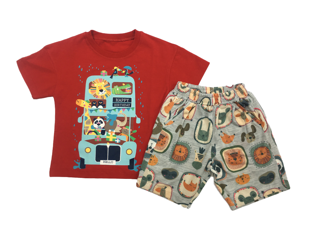 تیشرت و شلوارک راحتی پسرانه کارینا karina