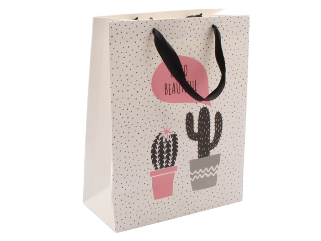 پاکت هدیه کاکتوس (سایز بزرگ)