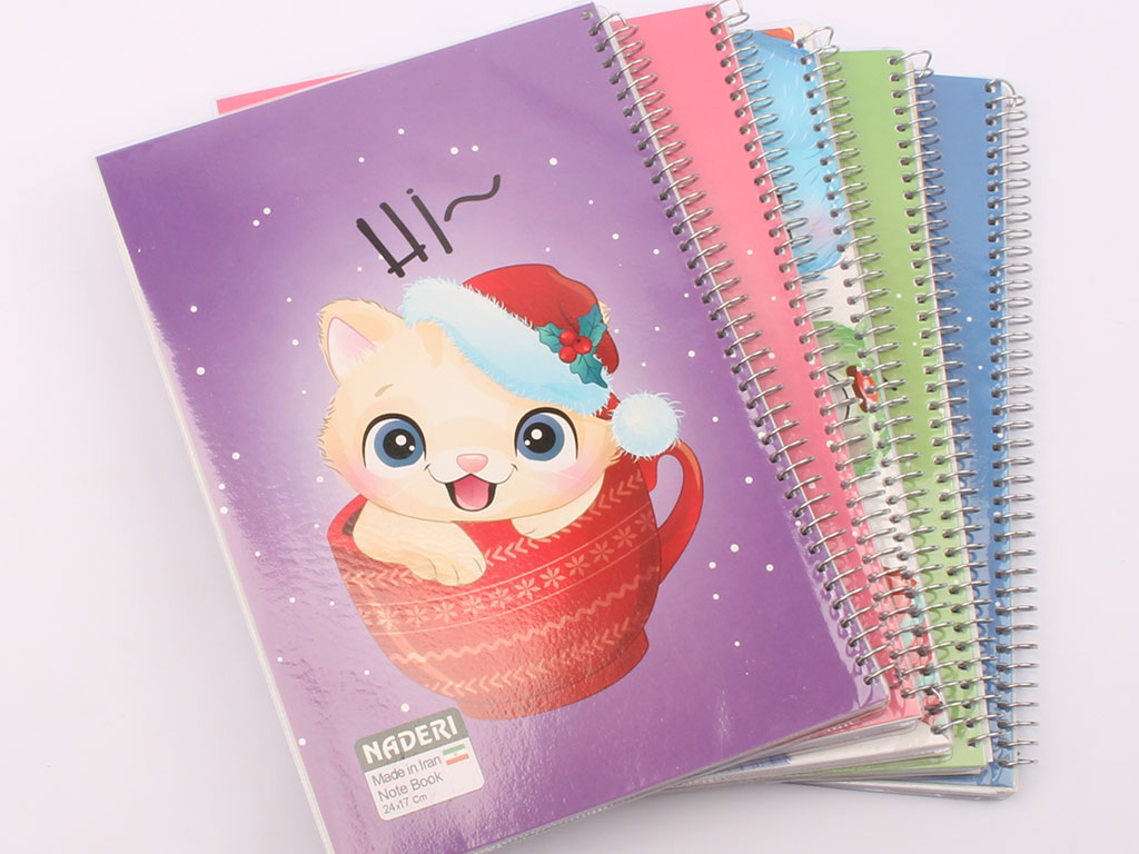 دفتر مشق سیمی 80 برگ جلد طلقی