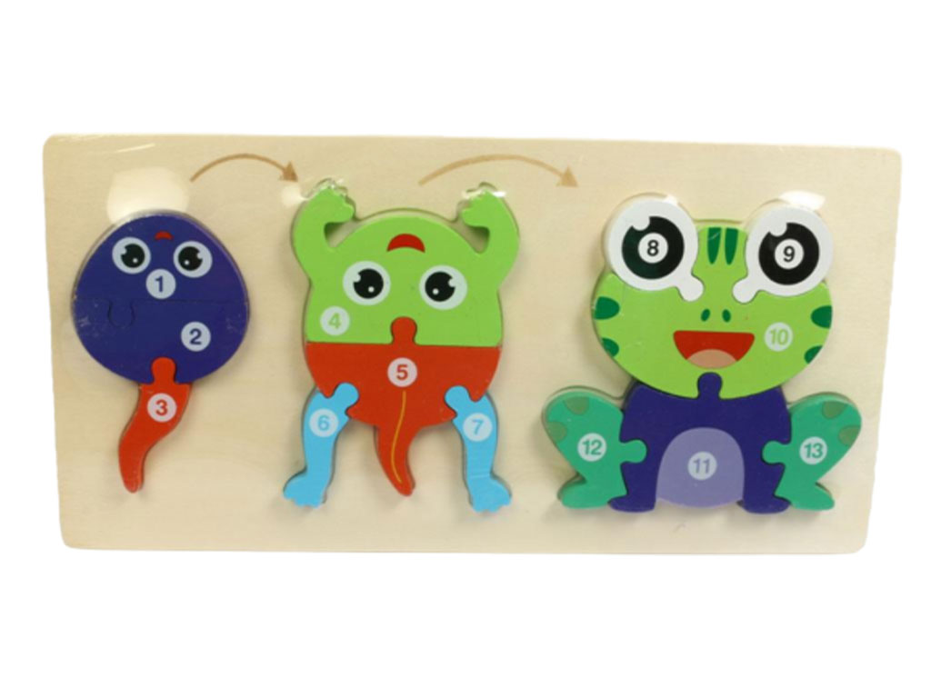 جورچین پازلی چوبی مدل آموزش مراحل رشد