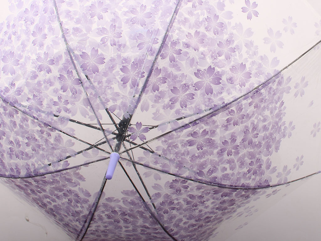 قیمت چتر شفاف