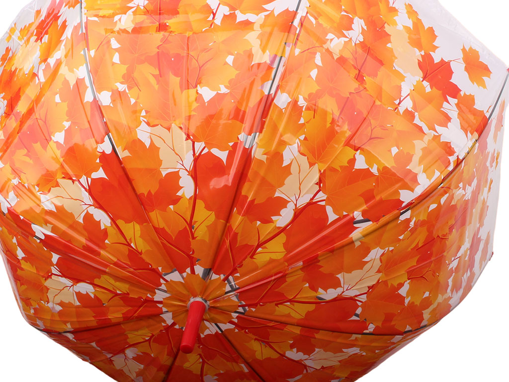 چتر شفاف برگ های پاییزی