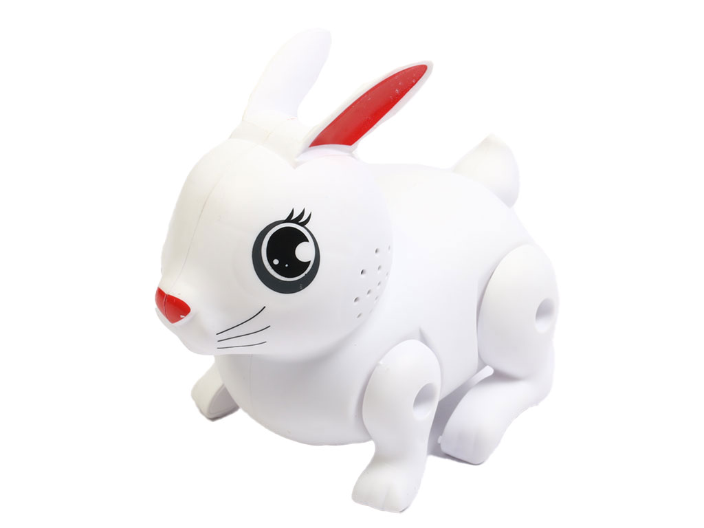 خرگوش چراغ دار موزیکال