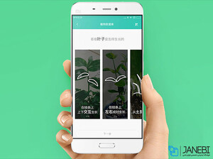 گلدان هوشمند شیائومی Xiaomi Smart Flowerpot