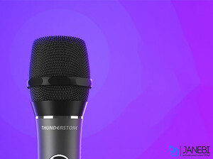 میکروفن بی سیم شیائومی Xiaomi Leishi KTV Professional Wireless Microphone