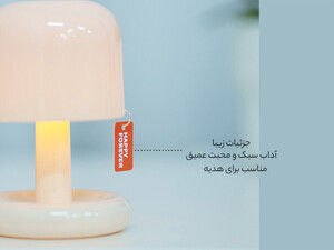بهترین چراغ رومیزی کوچک LED Mini Table Desk Lamp Atmosphere Night Lights Bar