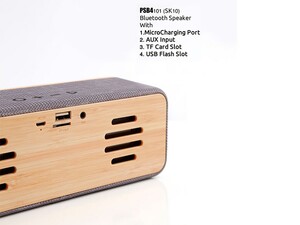 اسپیکر بلوتوثی قابل حمل پرووان ProOne SK10 Portable Speaker