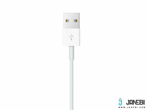 Apple Magnetic Charging Cable