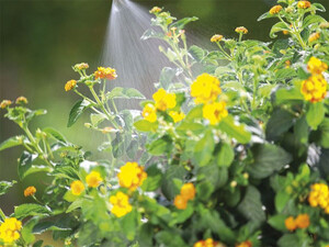 بهترین بطری اسپری آب Spray bottle 2.5L Electric P900