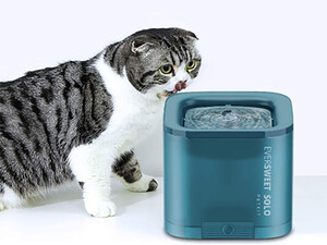کیفیت دستگاه تصفیه آب هوشمند برای حیوانات خانگی PETKIT  Smart Water Dispenser Multiple Purification Automatic for Pet