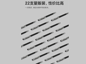 خرید خودکار 22 عددی بایکسو Baixue T1905 Straight Liquid roller ball pen