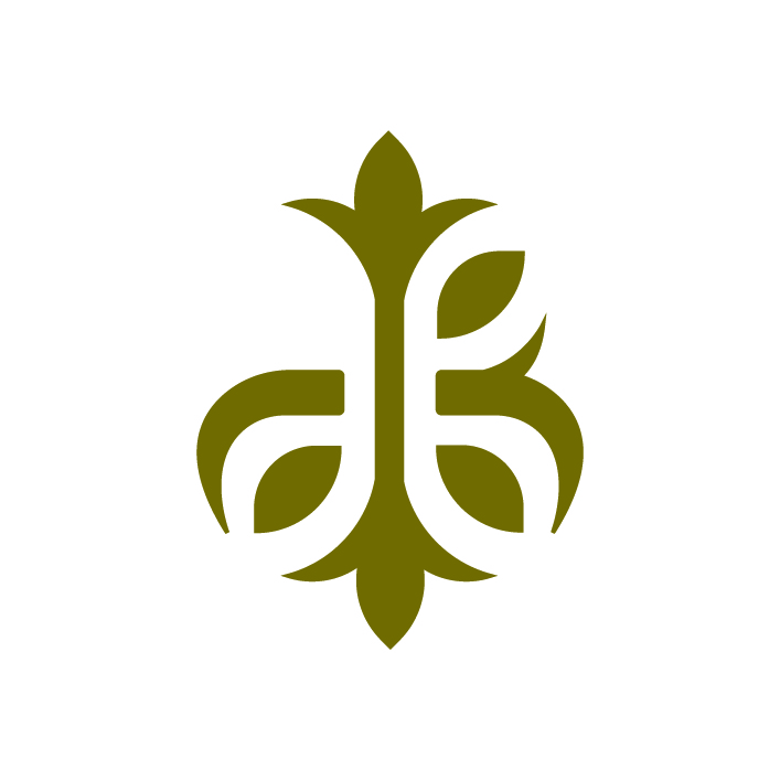 اکسسوری