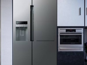 یخچال ساید بای ساید 32 فوت اسنوا