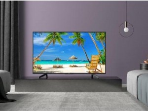 تلویزیون 65 اینچ اسنوا