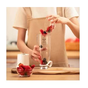 شیکر 500 میلی لیتری مدل Y03 Fruit Blender