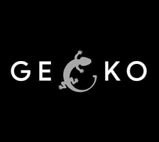 گیکو (های کپی)