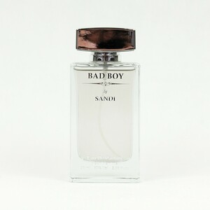 عطر و ادکلن مردانه بد بوی  |‌ BAD BOY