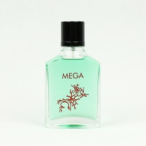 عطر و ادکلن مگاماره | megamare