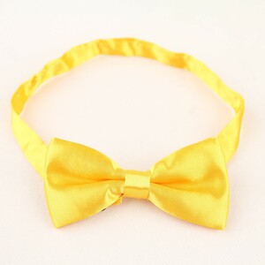 پاپیون مردانه طلایی