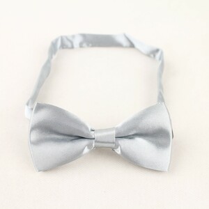 پاپیون مردانه نقره ای