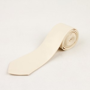 کروات مردانه ساده ساتن نباتی  RICHTER