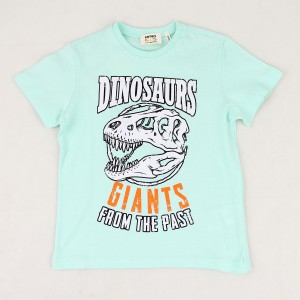 تیشرت پسرانه طرح دایناسور
