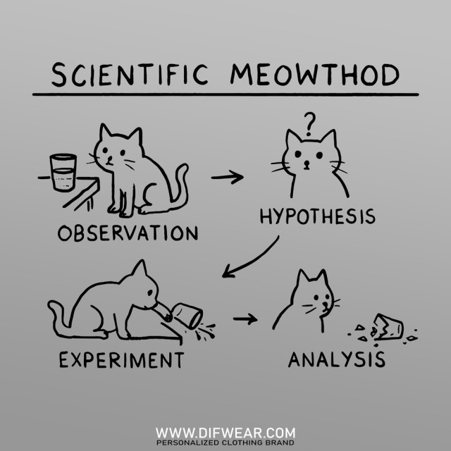 تیشرت Scientific Meowthod