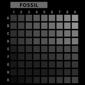 تیشرت طرح انتخابی MOON-L50.70-FOSSIL-D4