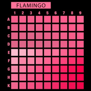 تیشرت طرح انتخابی PRIME-2XL56.76-FLAMINGO-B4