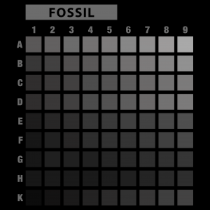 تیشرت طرح انتخابی KOALA-XL57.72-FOSSIL-A4