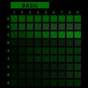تیشرت طرح انتخابی PRIME-2XL56.76-BASIL-G4