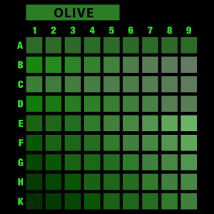 تیشرت طرح انتخابی PRIME-L48.70-OLIVE-C4