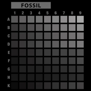 تیشرت طرح انتخابی KOALA-XXL59x74-FOSSIL-A4