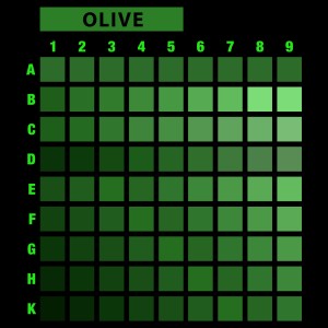 تیشرت طرح انتخابی PRIME-M-OLIVE-C4