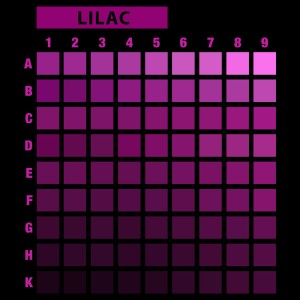 تیشرت طرح انتخابی PRIME-M-LILAC-F4