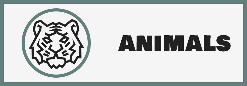 حیوانات