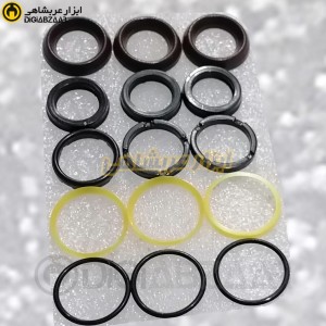 کیت و پکینگ کارواش 110 بار برتولینی