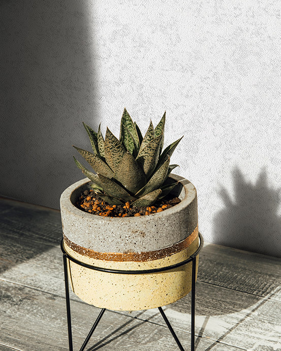 آلبوم کاغذدیواری نیچر 203105 NATURE