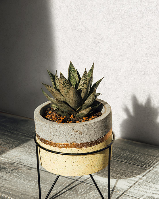 آلبوم کاغذدیواری نیچر 203101 NATURE