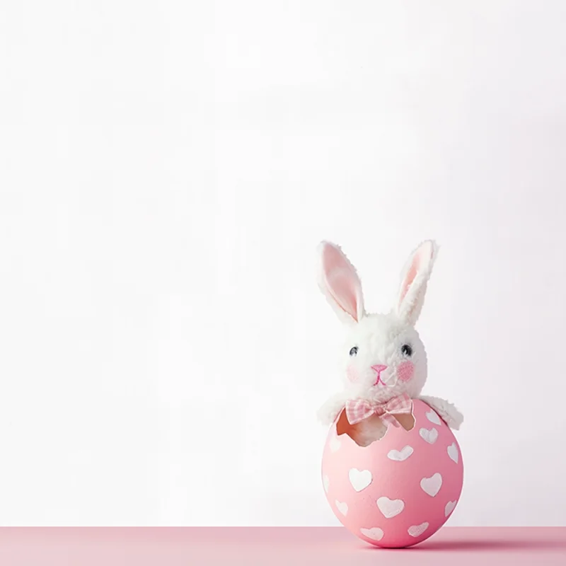 آلبوم کاغذدیواری کودک پمپو   pampo  12096