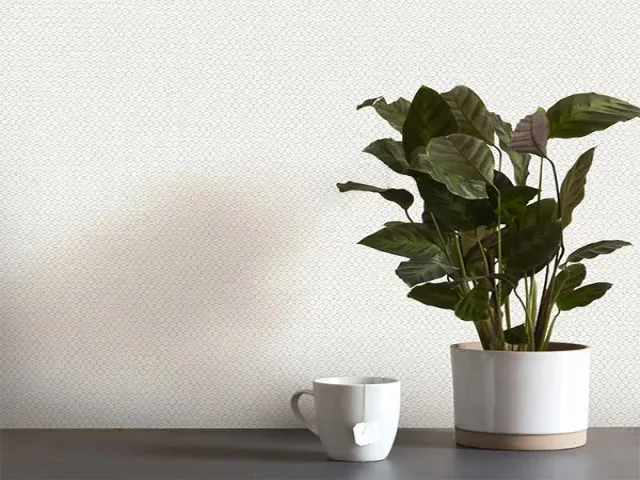 آلبوم کاغذدیواری کربن 1 طرح جودون سفید کد ۱۰۰۶۵