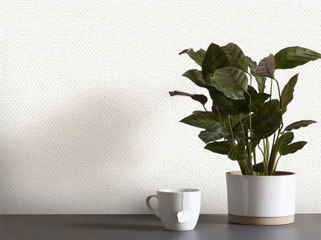 آلبوم کاغذدیواری کربن 1 طرح جودون سفید کد ۱۰۰۶۳