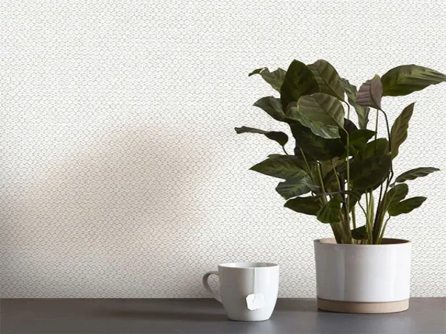 آلبوم کاغذدیواری کربن 1 طرح جودون کرم کد ۱۰۰۶۲