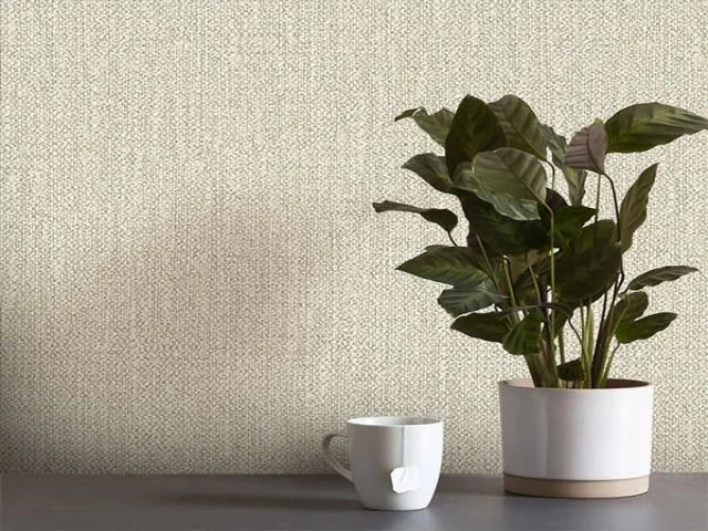 آلبوم کاغذدیواری کربن 1 طرح جودون کرم کد ۱۰۰۶۱