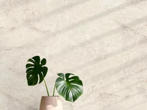 آلبوم کاغذدیواری تیتانیوم /  کد 11006 TITANIUM