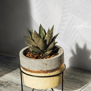 آلبوم کاغذدیواری نیچر 203106 NATURE